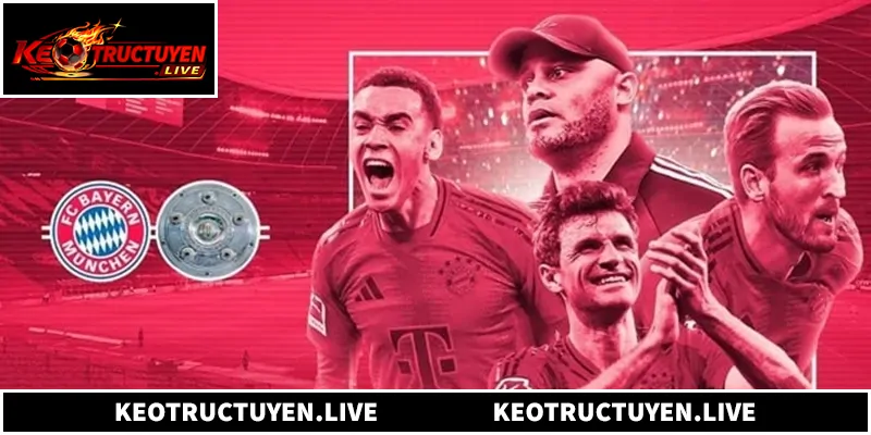Soi Kèo Bundesliga - Tỷ Lệ Chuẩn Xác, Nhận Định Hiệu Quả Tổng quan về soi kèo Bundesliga